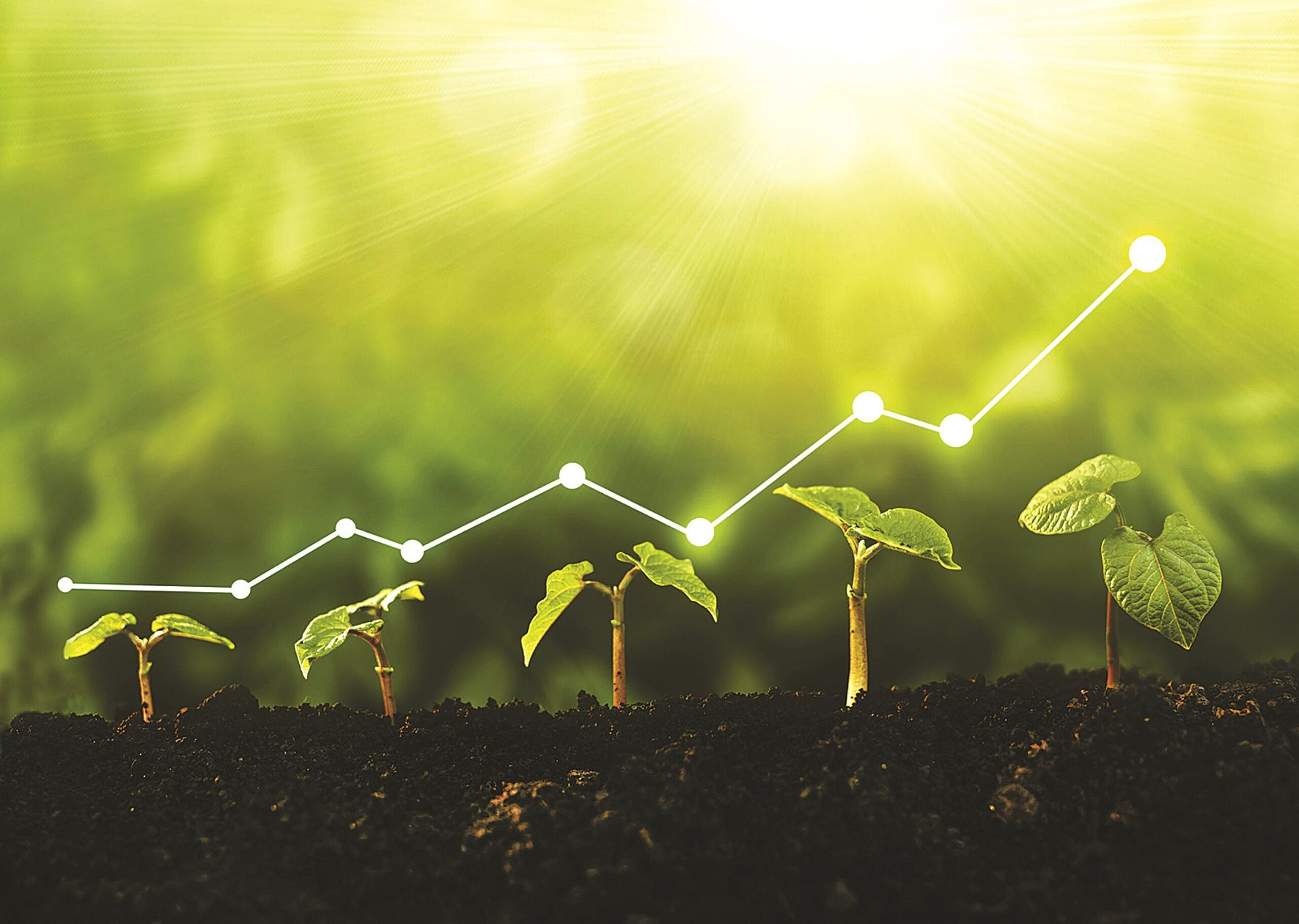 Chuyển đổi xanh - một ứng xử văn hóa cấp thiết với thiên nhiên