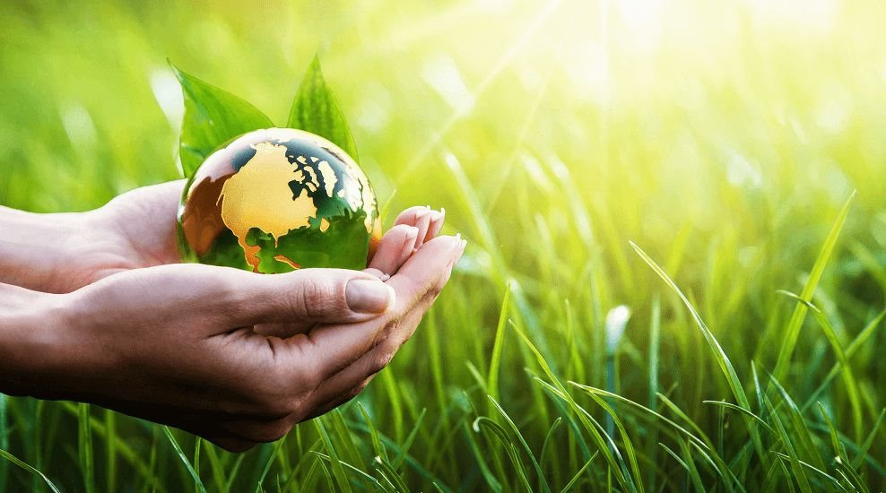 Hoàn thiện dự thảo sửa đổi Nghị định số 08/2022/NĐ-CP quy định chi tiết một số điều của Luật Bảo vệ môi trường