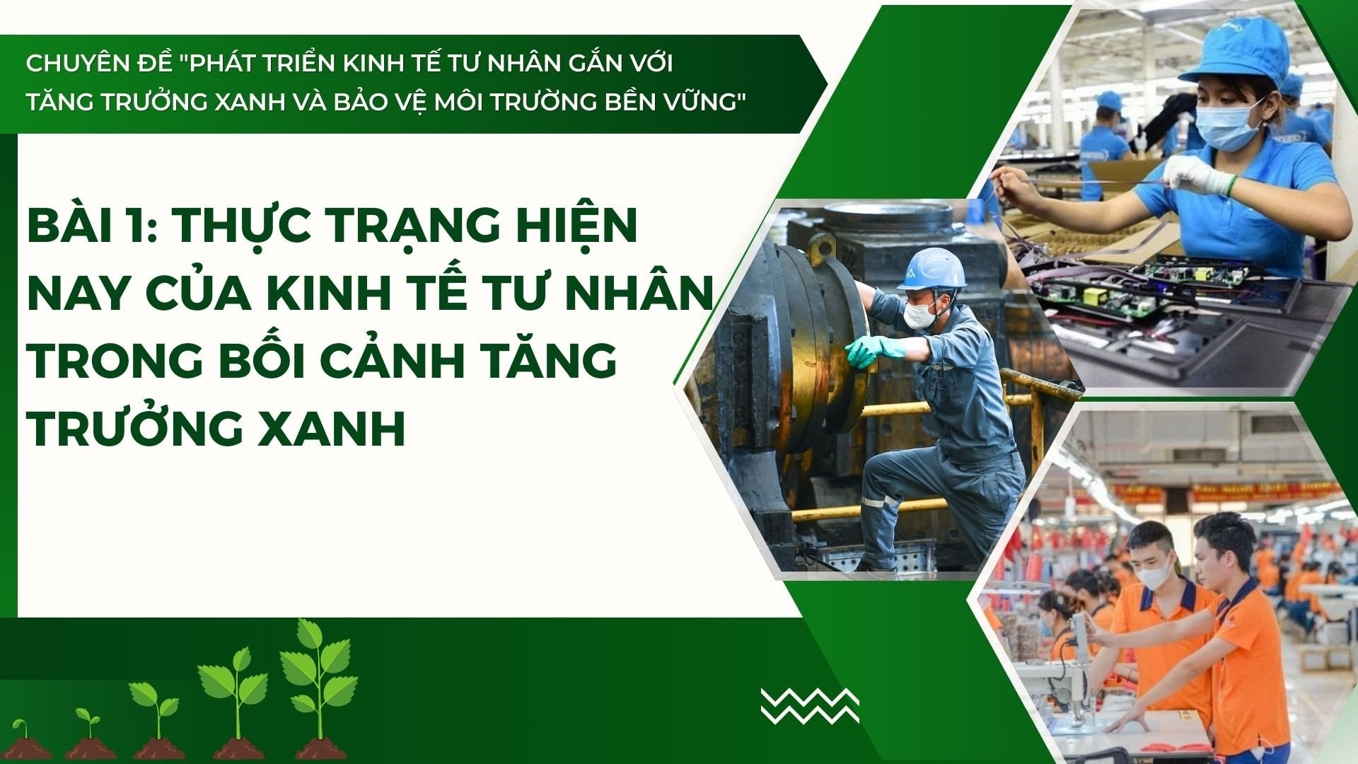 Chuyên đề "Phát triển kinh tế tư nhân gắn với tăng trưởng xanh và bảo vệ môi trường bền vững"