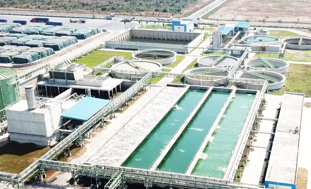 Dự án trong nước