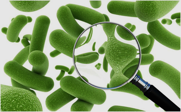 Công nghệ xử lý sinh học